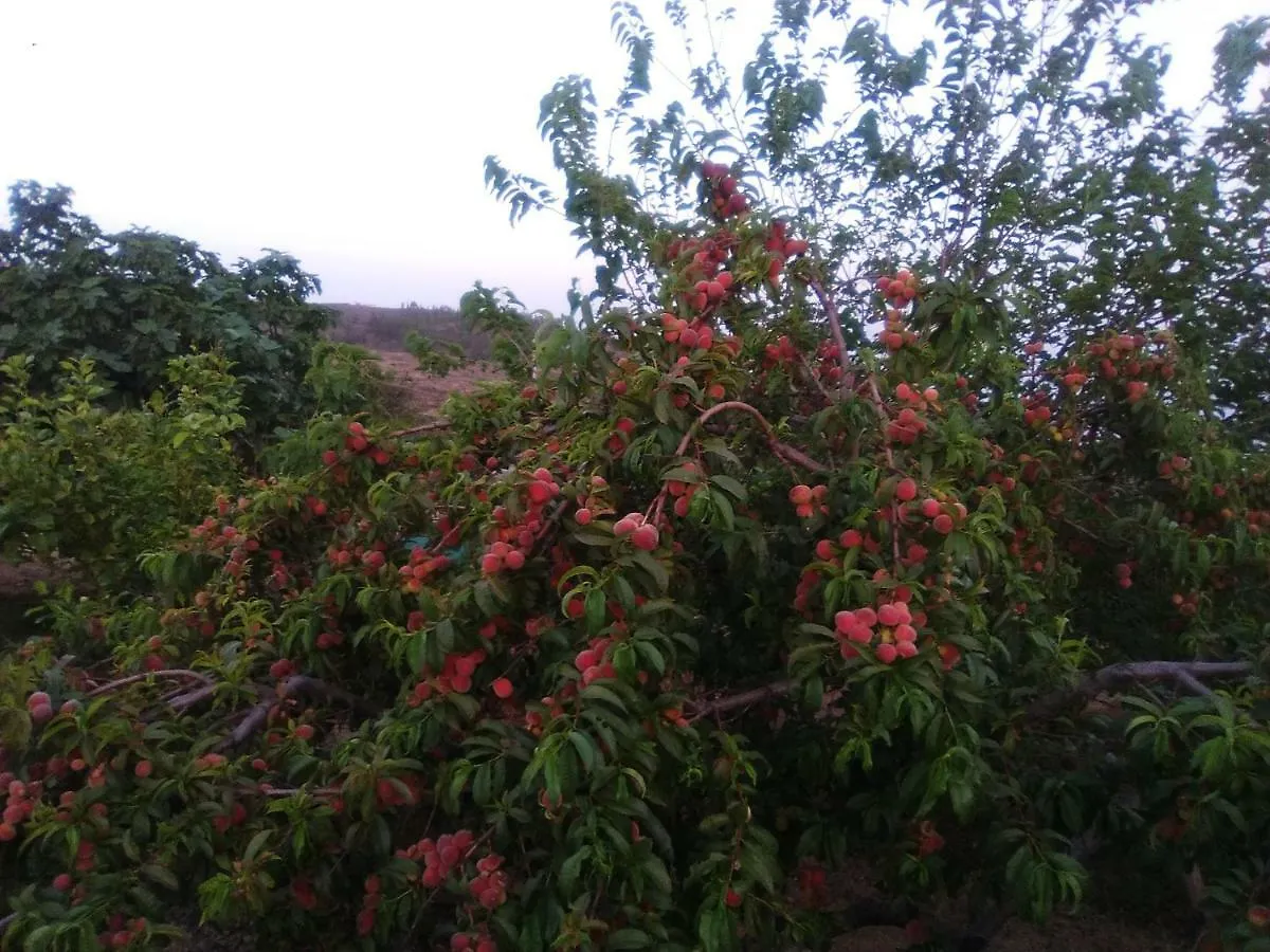 Casa De Los Abuelos Vilaflor de Chasna 0*,