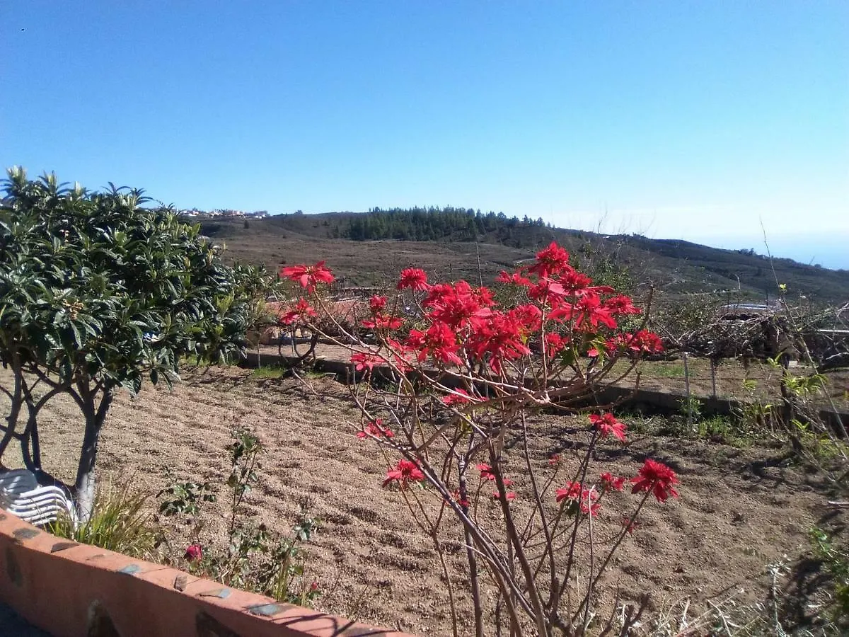 Casa De Los Abuelos Vilaflor